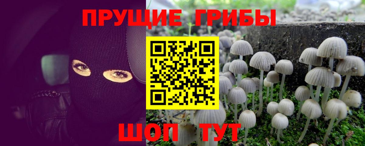 Псилоцибиновые грибы Cubensis Североуральск