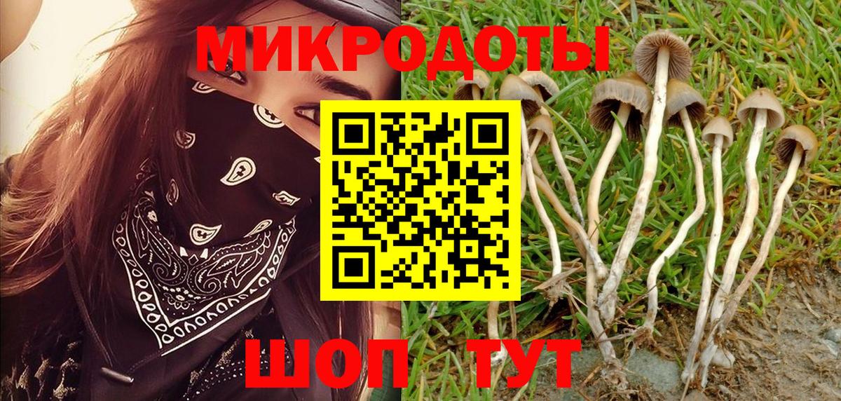 Псилоцибиновые грибы MAGIC MUSHROOMS  Вход с VPN  Североуральск  Галлюциногенные грибы Psilocybine cubensis 